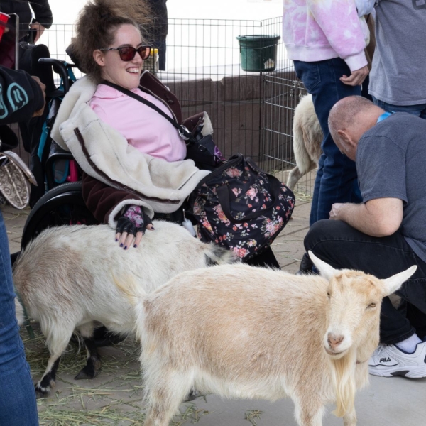 person in a wheelchair at a petting zoo touching a white goat