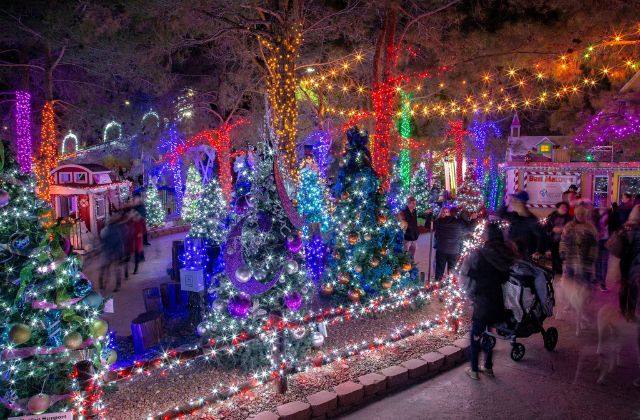 photo of christmas tree light display with people walking along paths to view